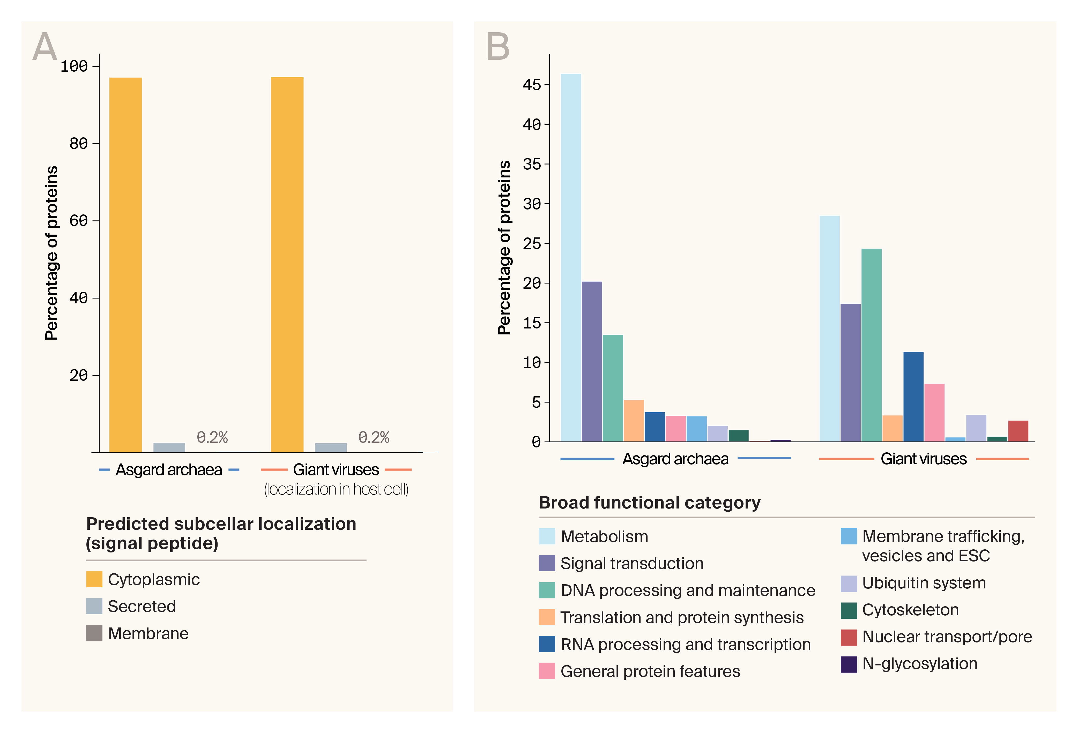 Bar charts of predicted subcellular localization and functional categories of Asgard and viral proteins, where 97% of proteins are predicted to be cytoplasmic, and the database is dominated by proteins with predicted metabolic, signal transduction, and DNA processing functions