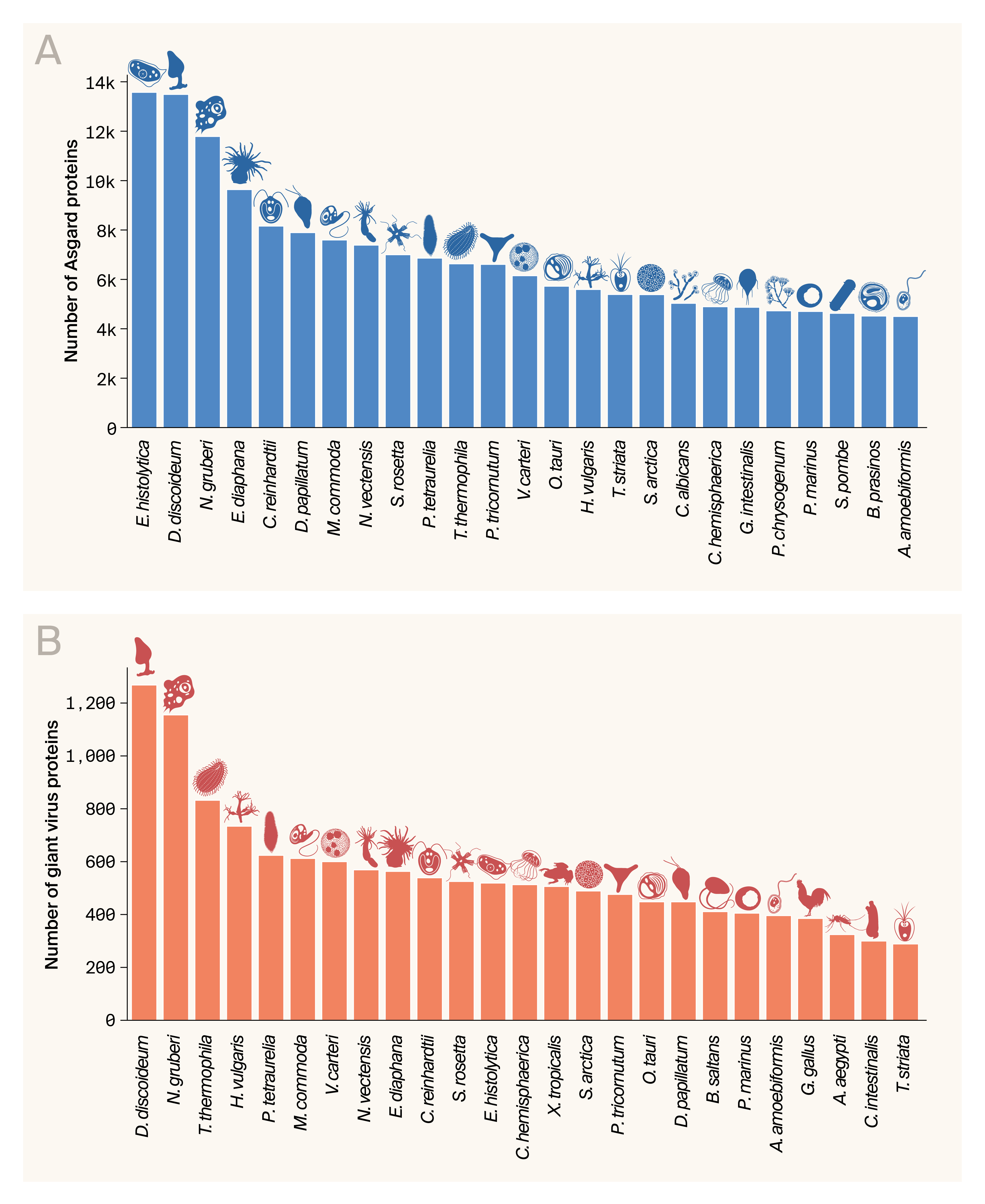 Bar charts of the top organisms represented among eukaryotic homologs of proteins in our dataset, where amoeba, green algae, and ciliates dominate among the top organisms with homologs in the Asgard and giant virus proteomes