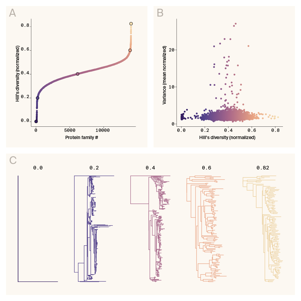 Scatter plots and phylogenies of Hill’s diversity index calculated to infer patterns of nonindependence across the Ensembl Compara database.