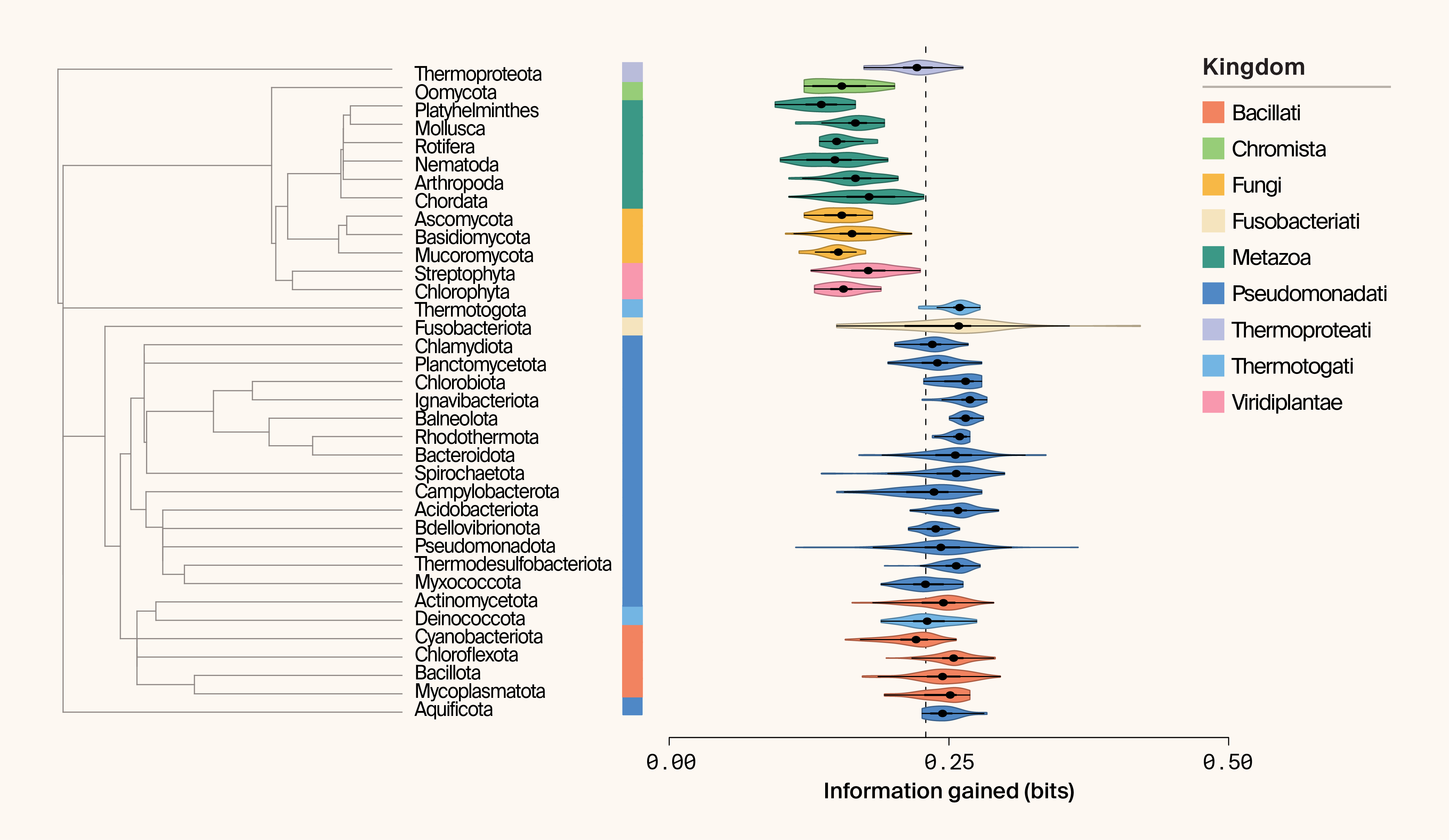 Violin plot of per-phylum information gained, where Prokaryotes have greater IG than other domains.