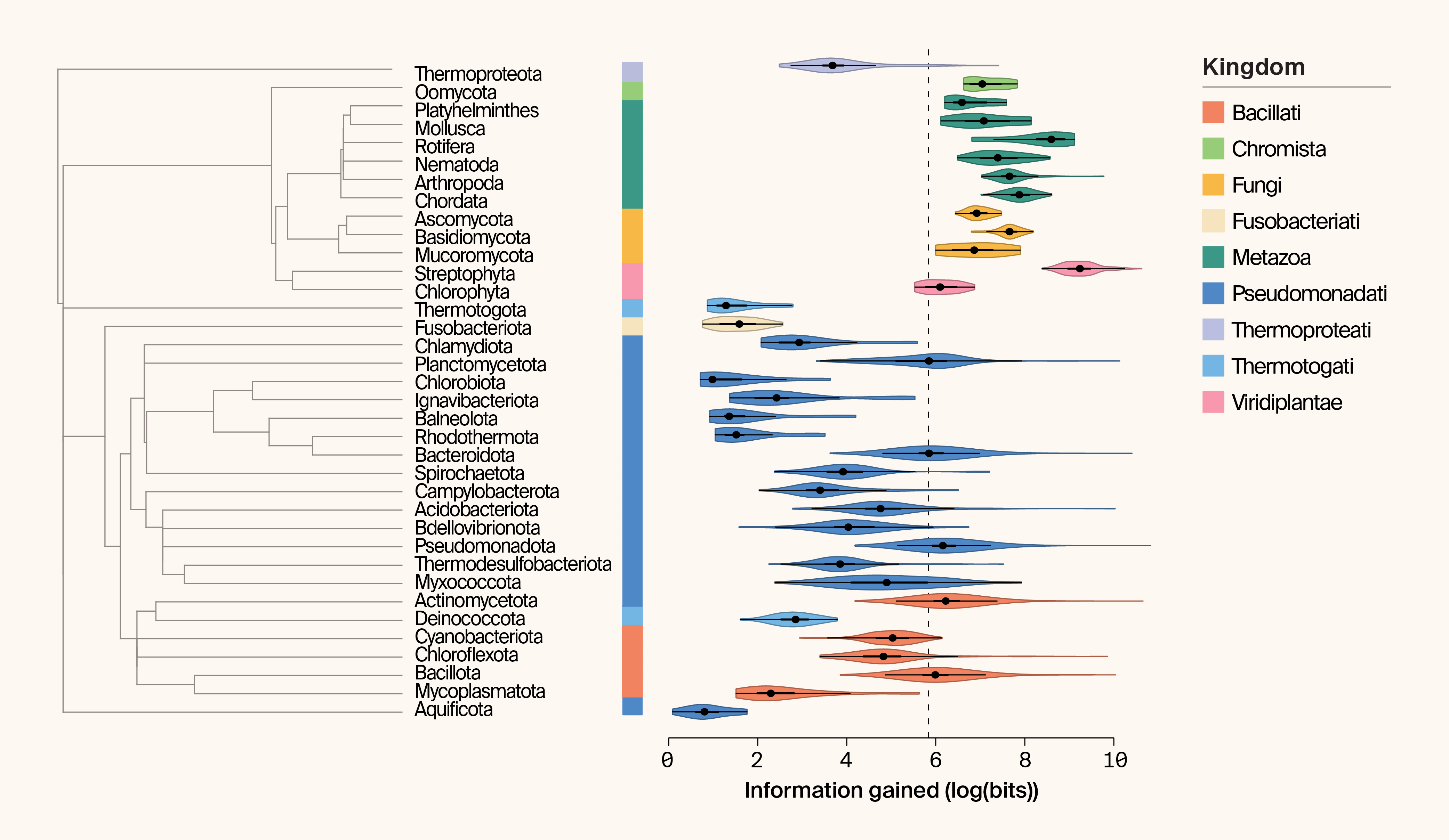 Violin plot of per-phylum information gained, where Eukaryotes have greater IG than other domains.