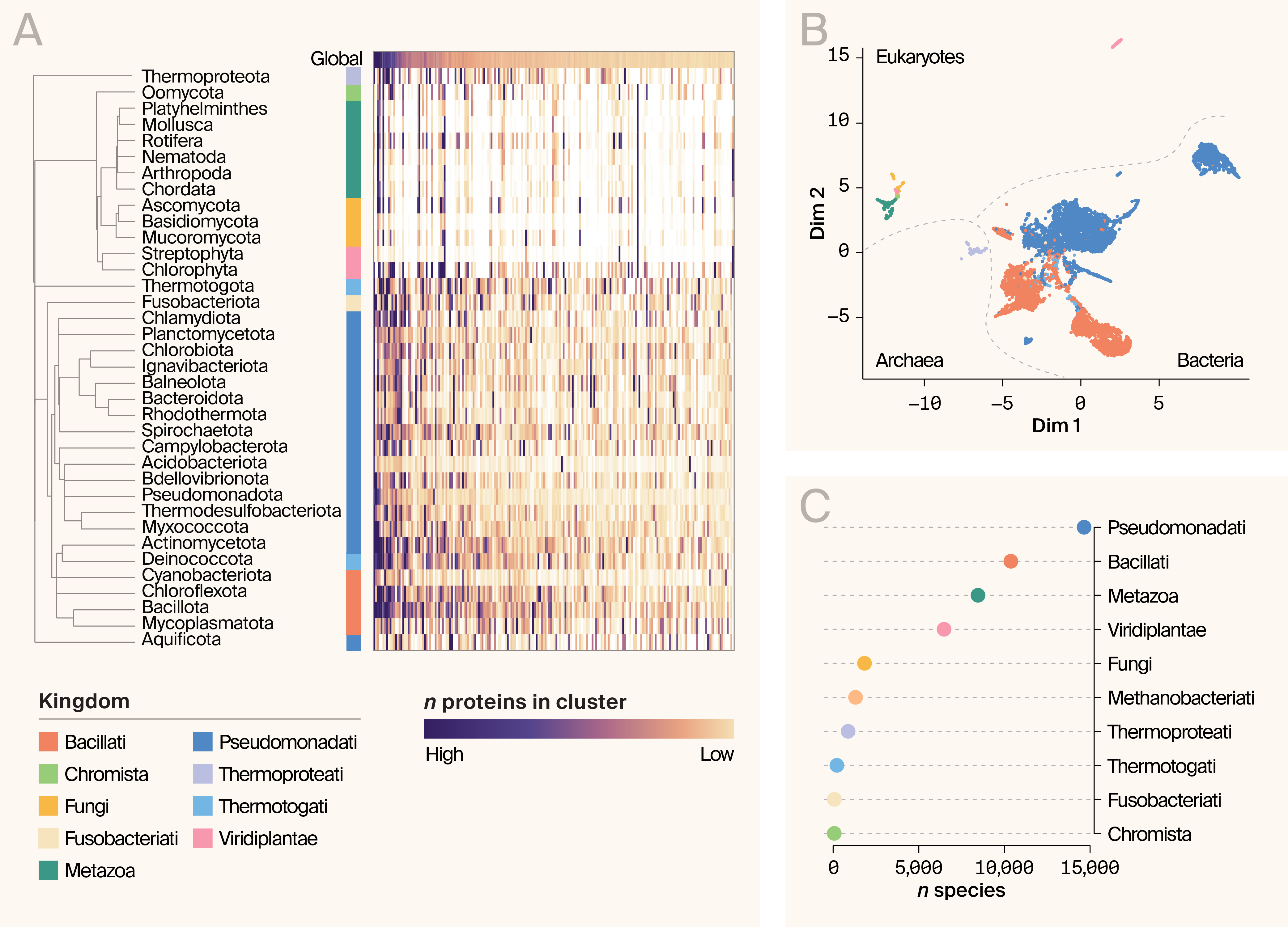 Heatmap and scatter plots of AFDB structural cluster variation, where the relationships and abundances of taxa are revealed.