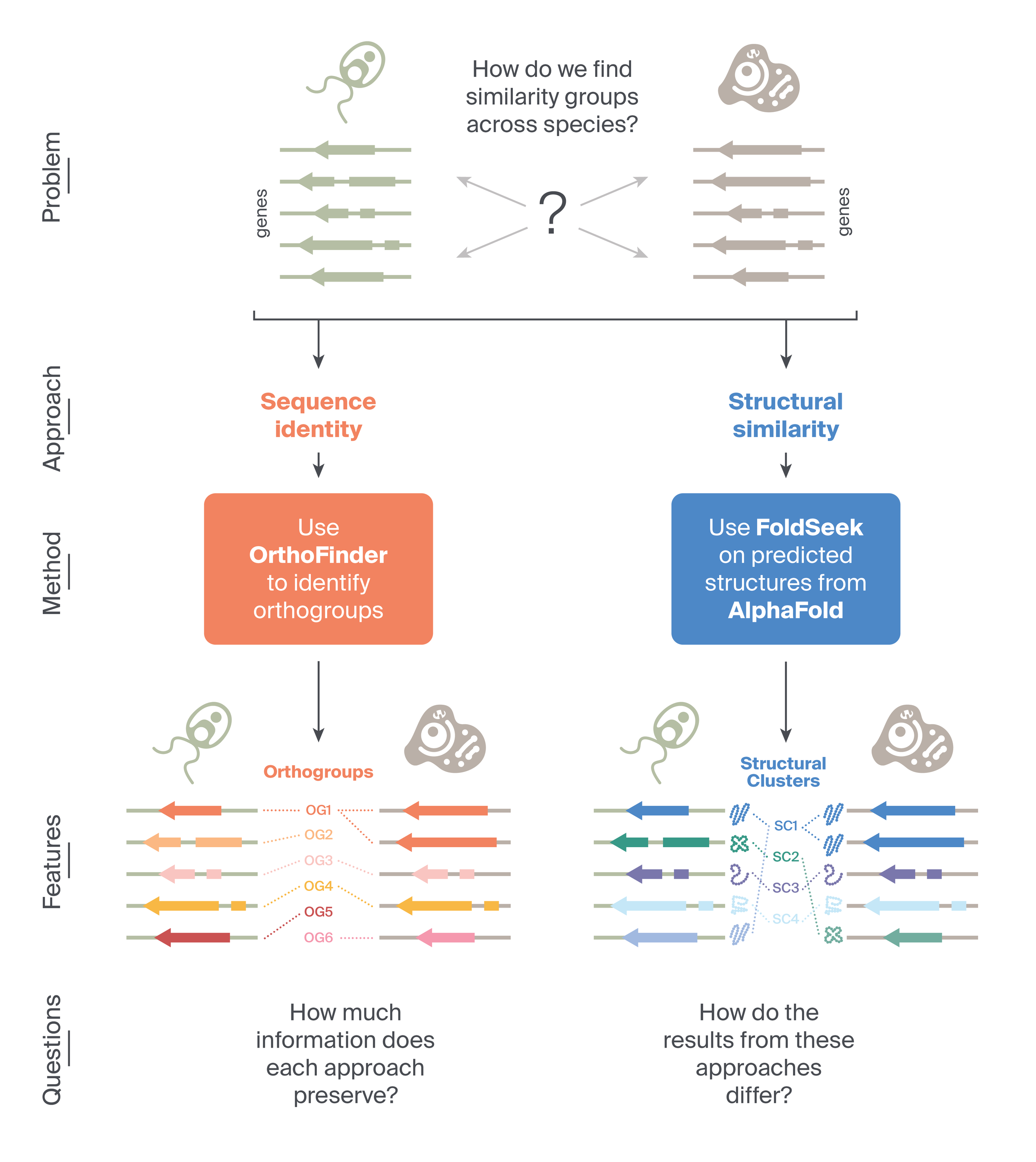 Comparing gene expression across species based on protein structure ...