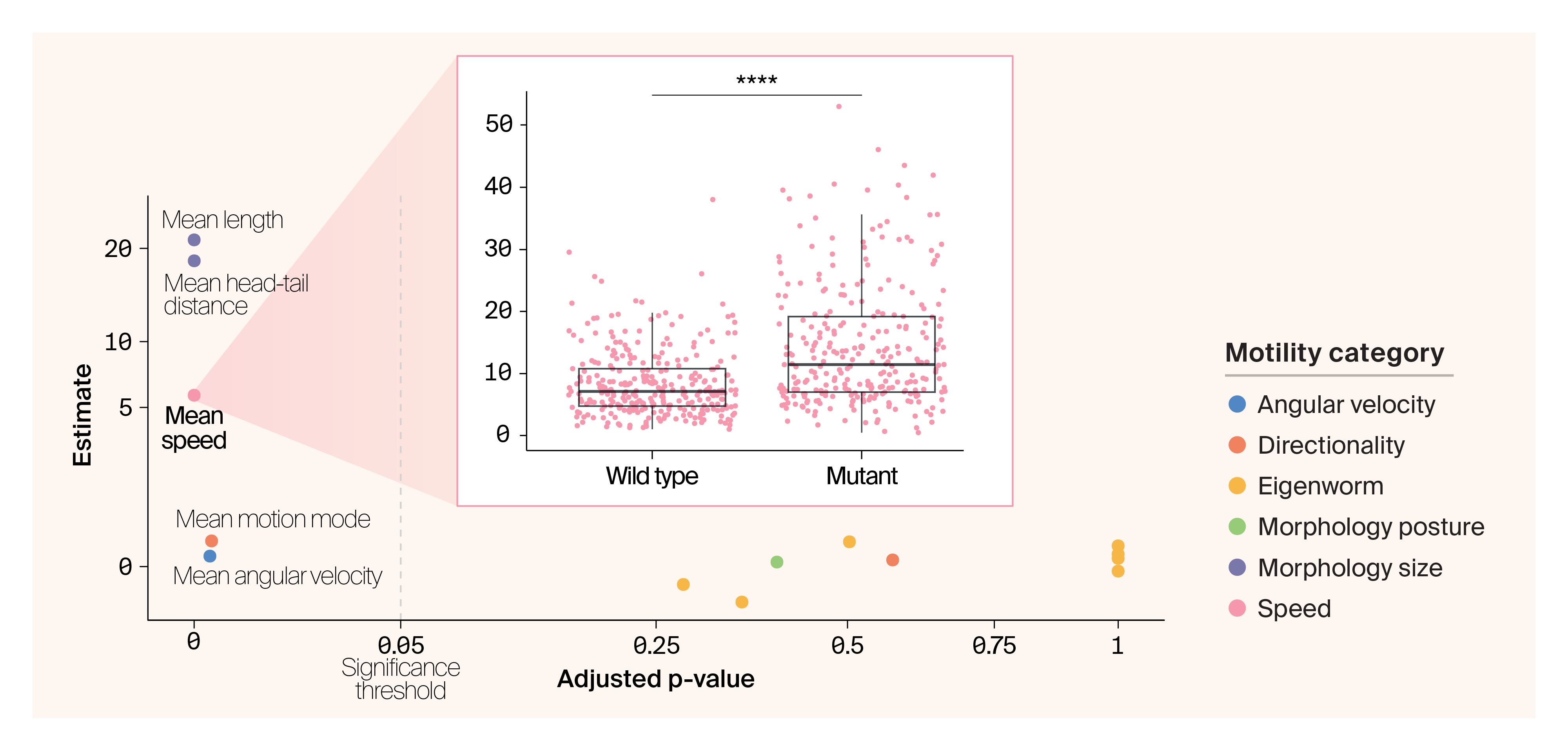 Scatter plot of motility phenotypes arranged by p-value, where some phenotypes, such as mean speed, show a significant difference between wild type and mutant.