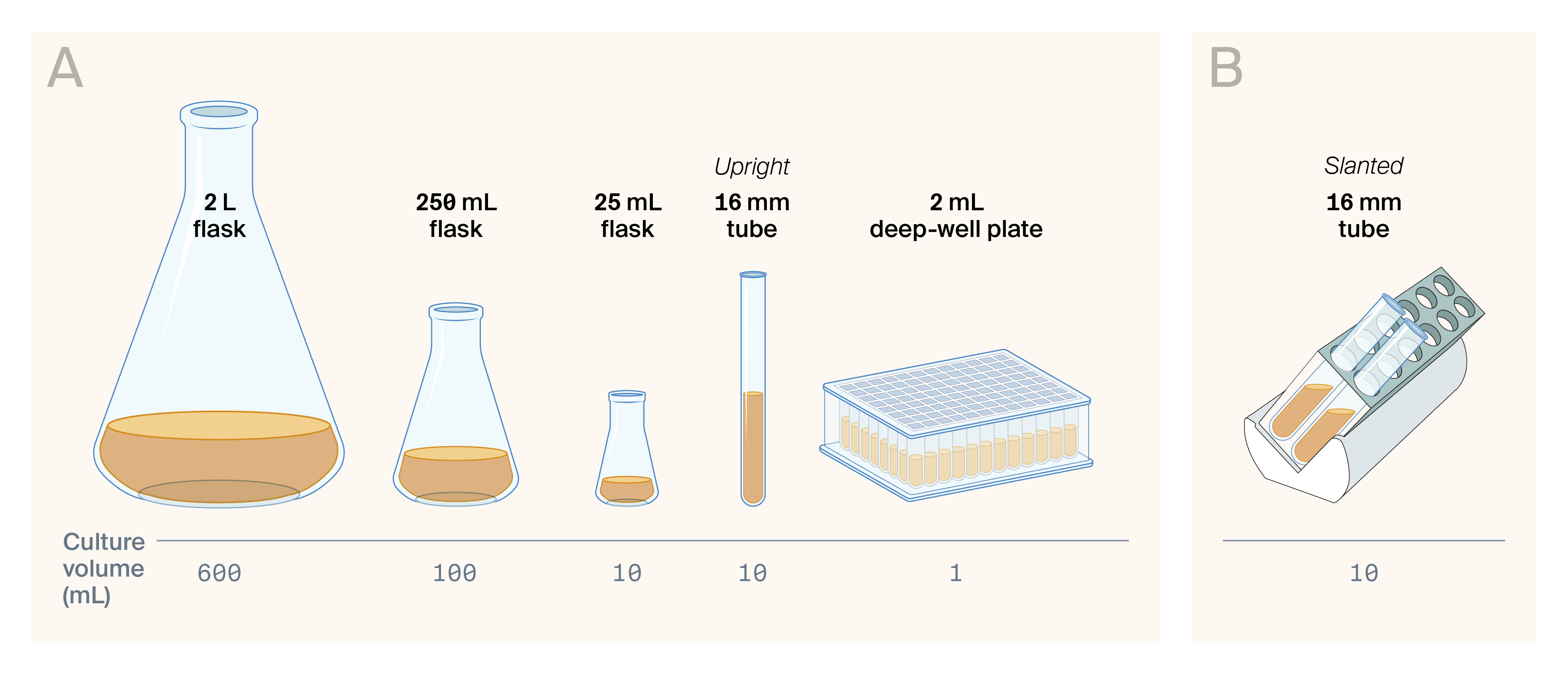 Illustrations of the culture growth vessels and their respective culture volumes.