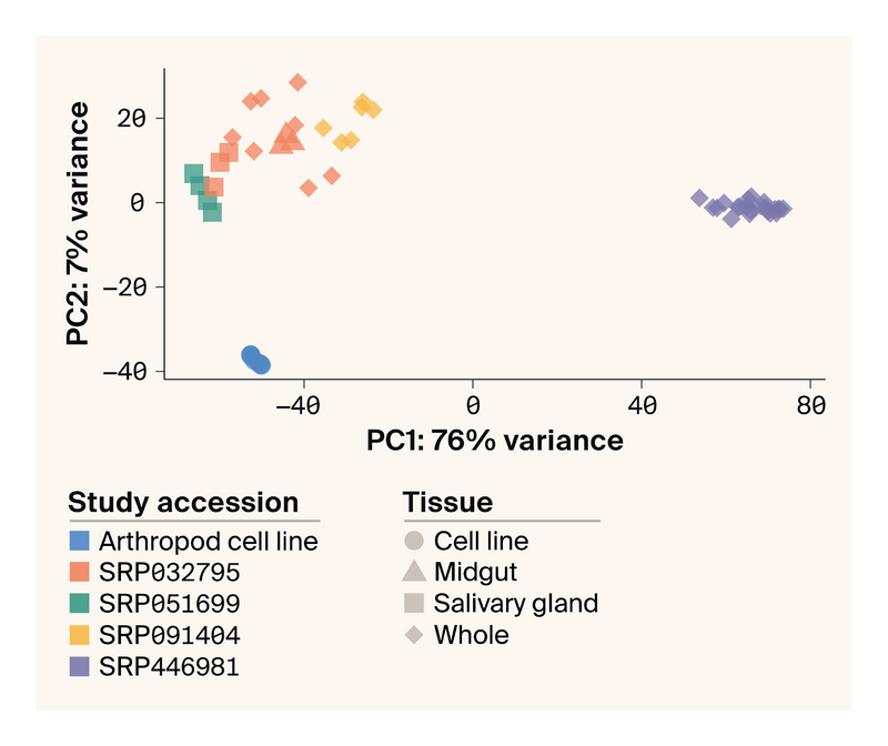 Scatter plot of PCA results where most points cluster by study, with distinct groups for SRP446981 and "Arthropod cell line."