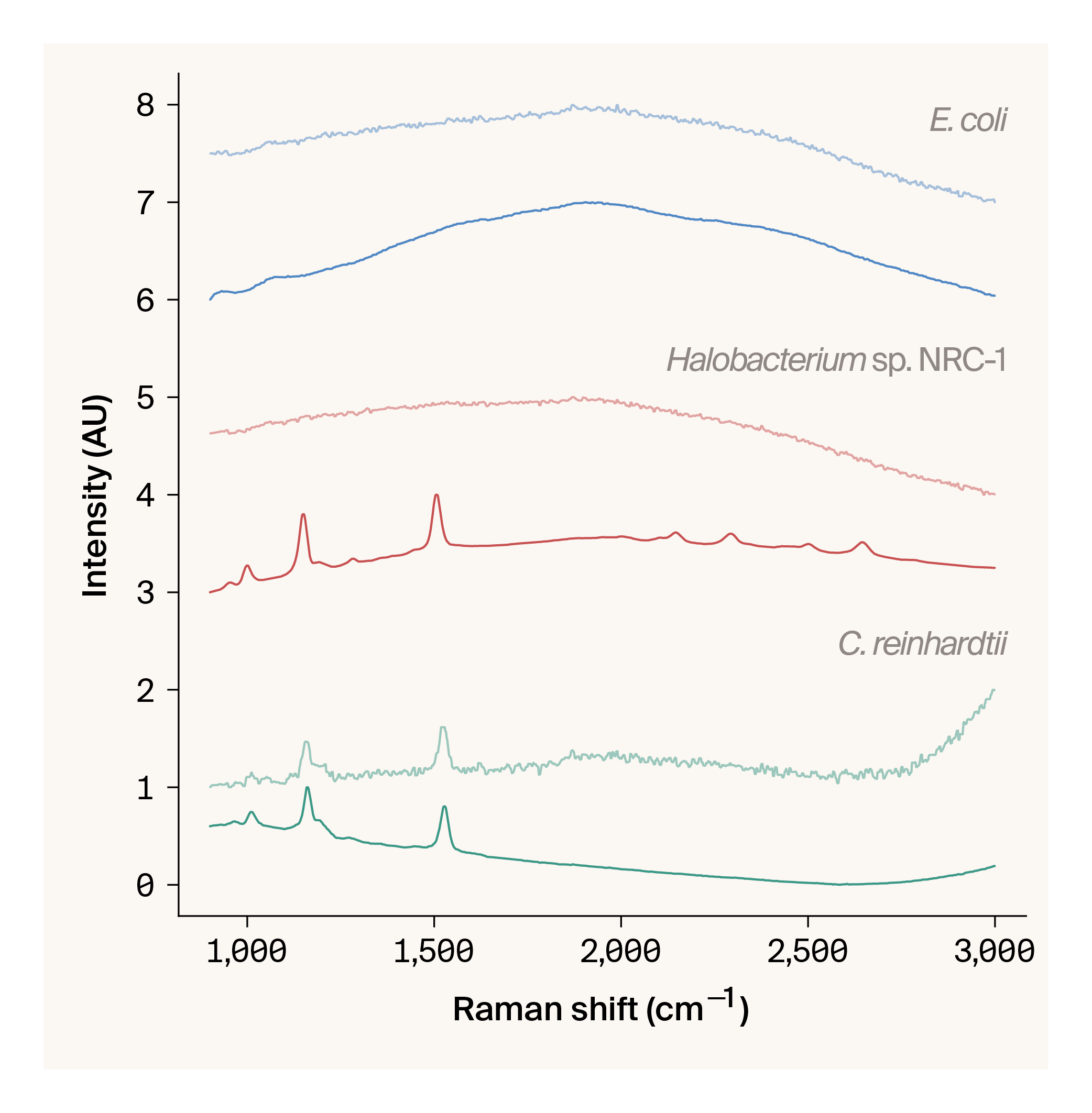 Line graph of Raman spectra from three species in solid and liquid configurations.