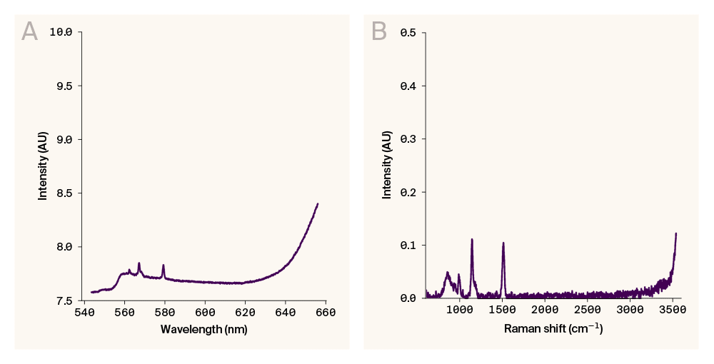 Two gifs of line graphs of time series Raman spectra of C. reinhardtii 124 acquired over 20 minutes, without and with baseline removal.
