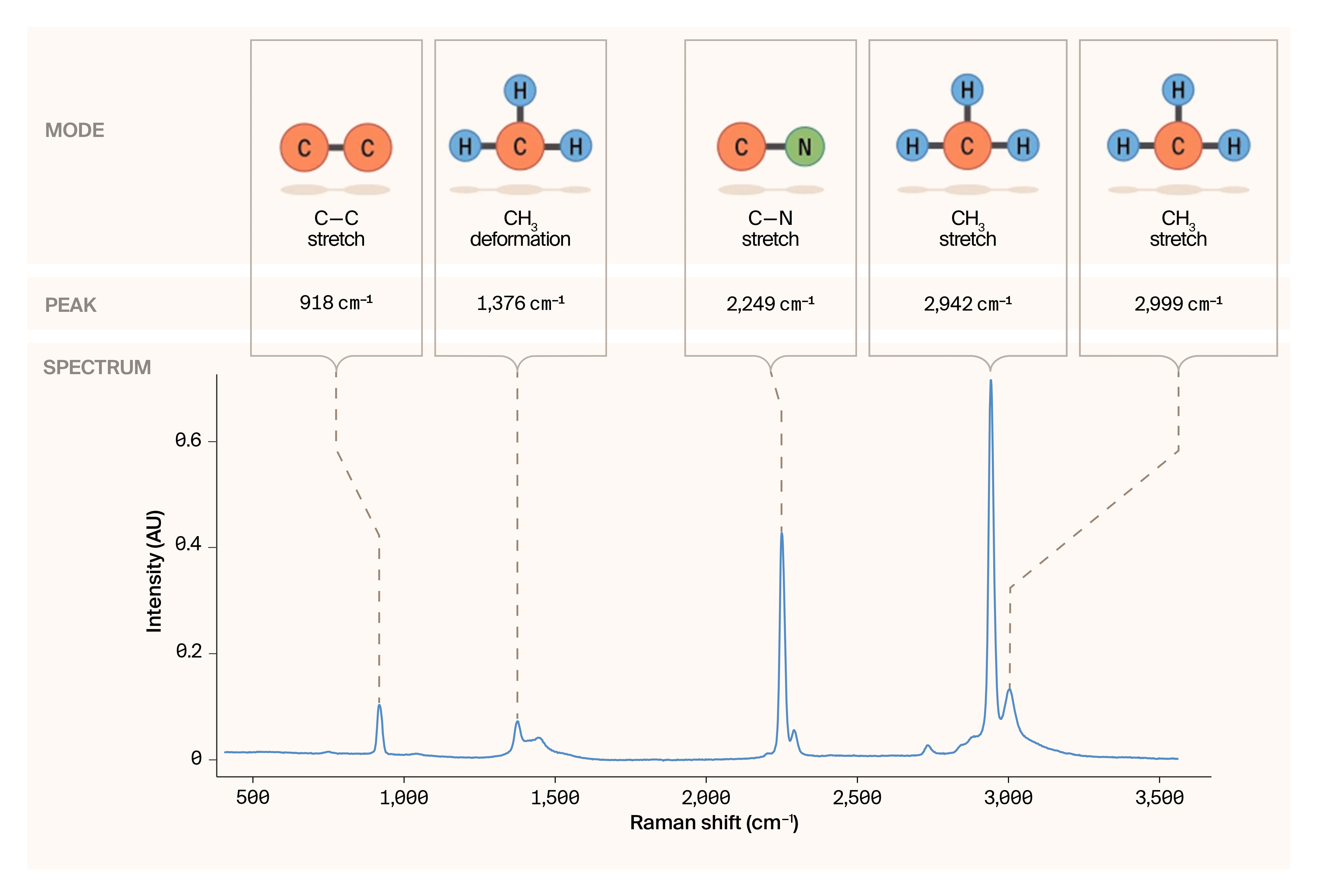 Example Raman spectrum with molecular vibrations correlating to labeled peaks.