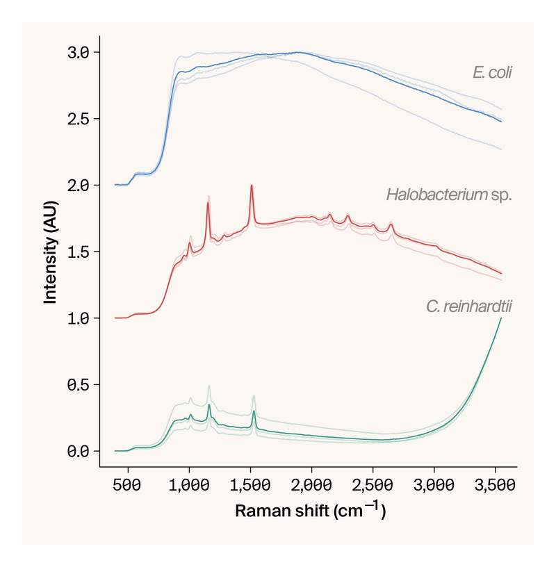 Line graph of Raman spectra from three species in solid configuration, showing three samples for each species and the average.