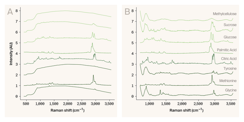 Two line graphs showing Raman spectra of powdered biomolecules, without and with baseline removal.