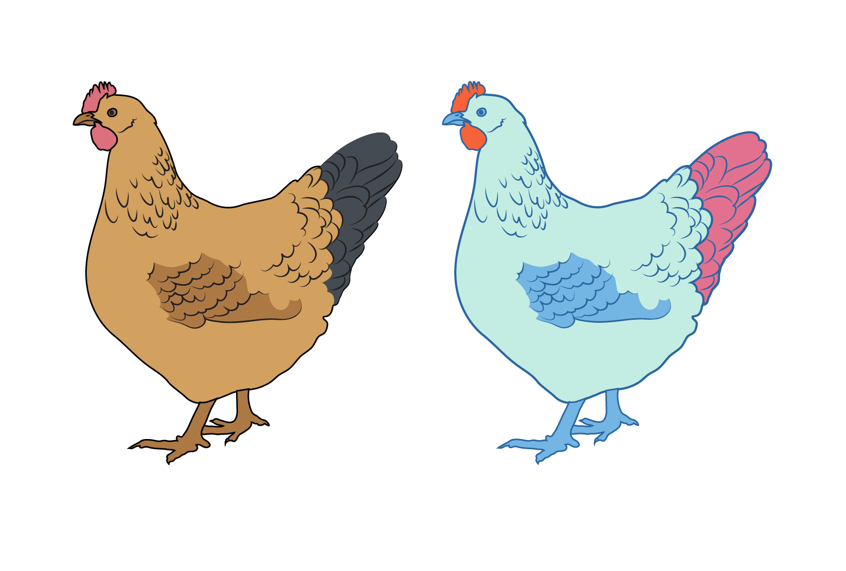 Three example images of Gallus gallus showing possible color variations based on the “tricolor + stroke” files in the library.