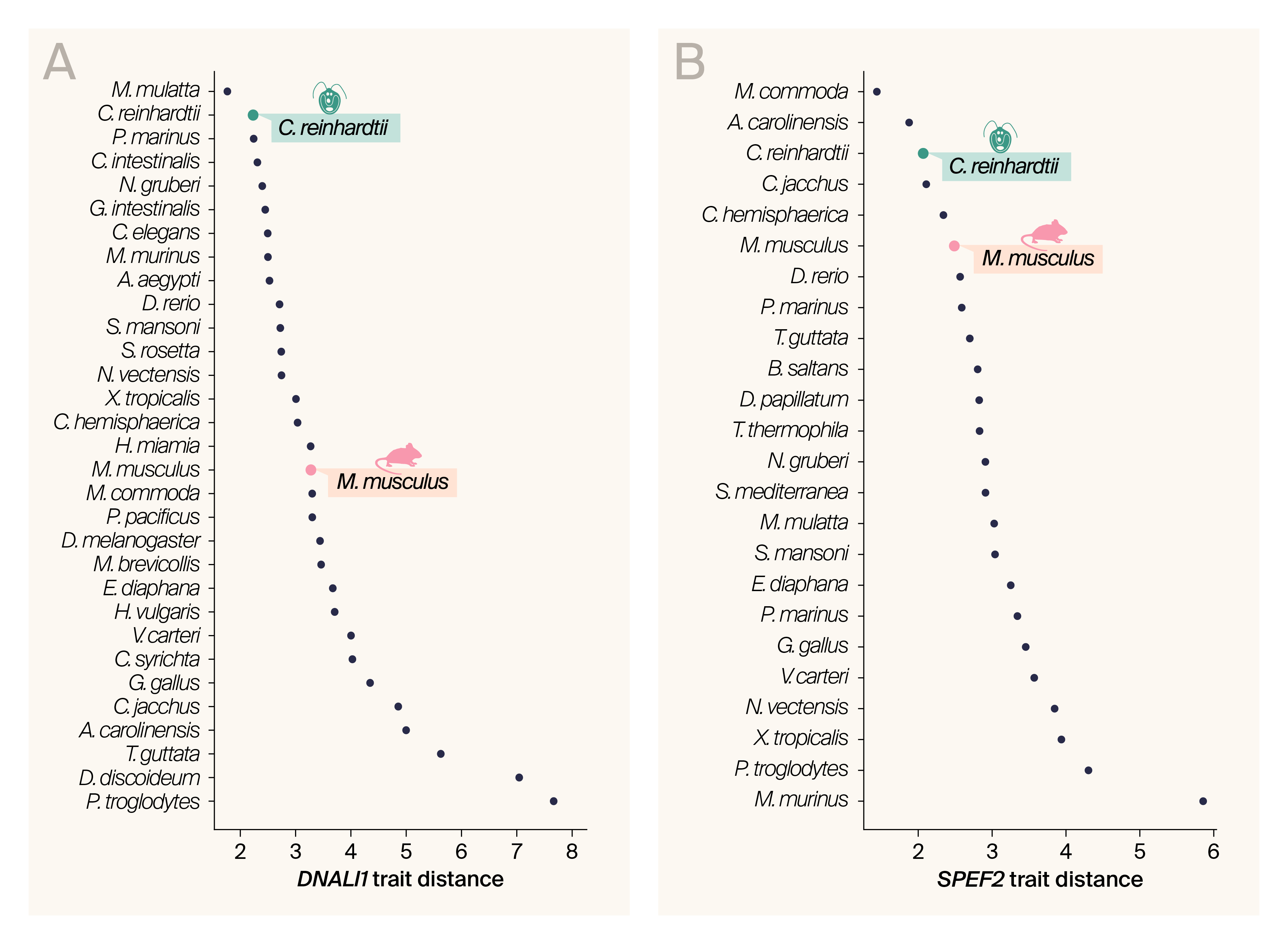 Scatter plots of the physicochemical trait distance of species for a gene family where Chlamdymonas outperforms mice for DNALI1 and SPEF2.