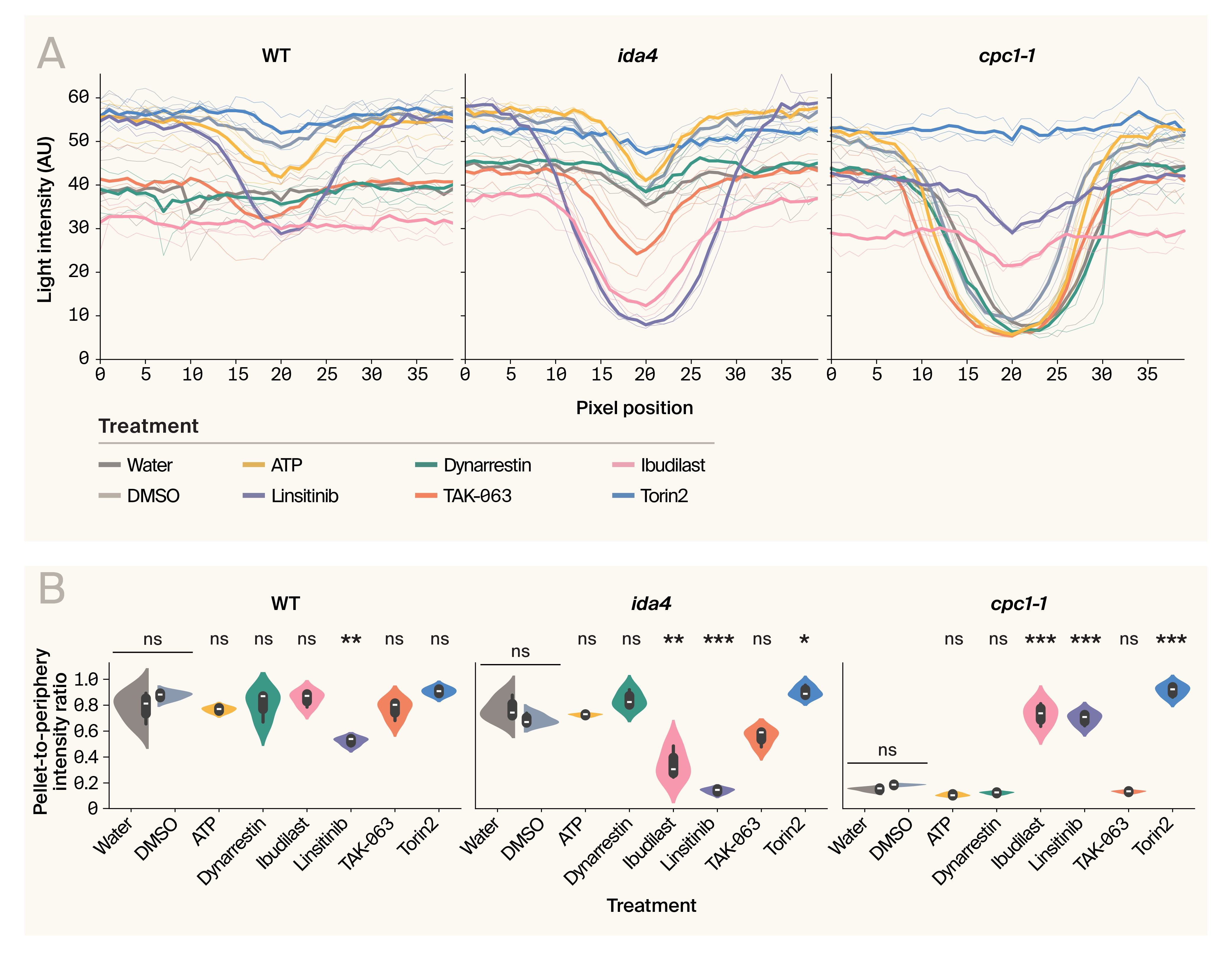 Panel A depicts line graphs of light intensity across well positions where different drug treatments show varied effects on cell motility. Panel B shows violin plots of pellet-to-periphery ratios where drug responses vary between wild-type and mutant strains.