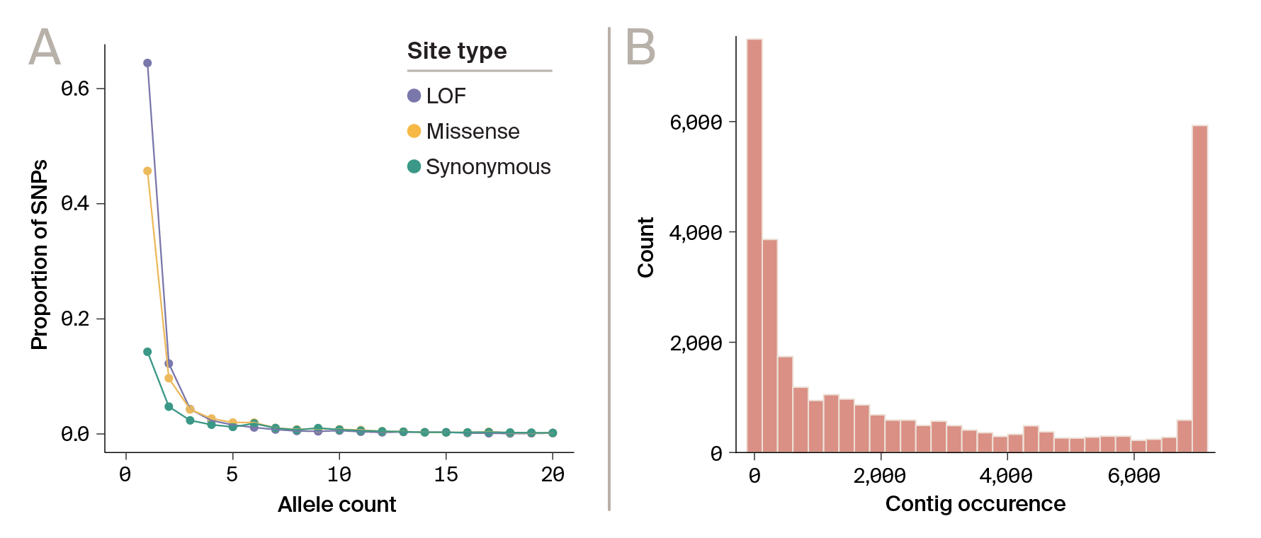 A multi-panel figure with a line plot and histogram of the frequency distribution of different types of mutations and presence-absence status of contigs where deleterious mutations tend to skew rarer, and only a small subset of contigs are shared by all samples.