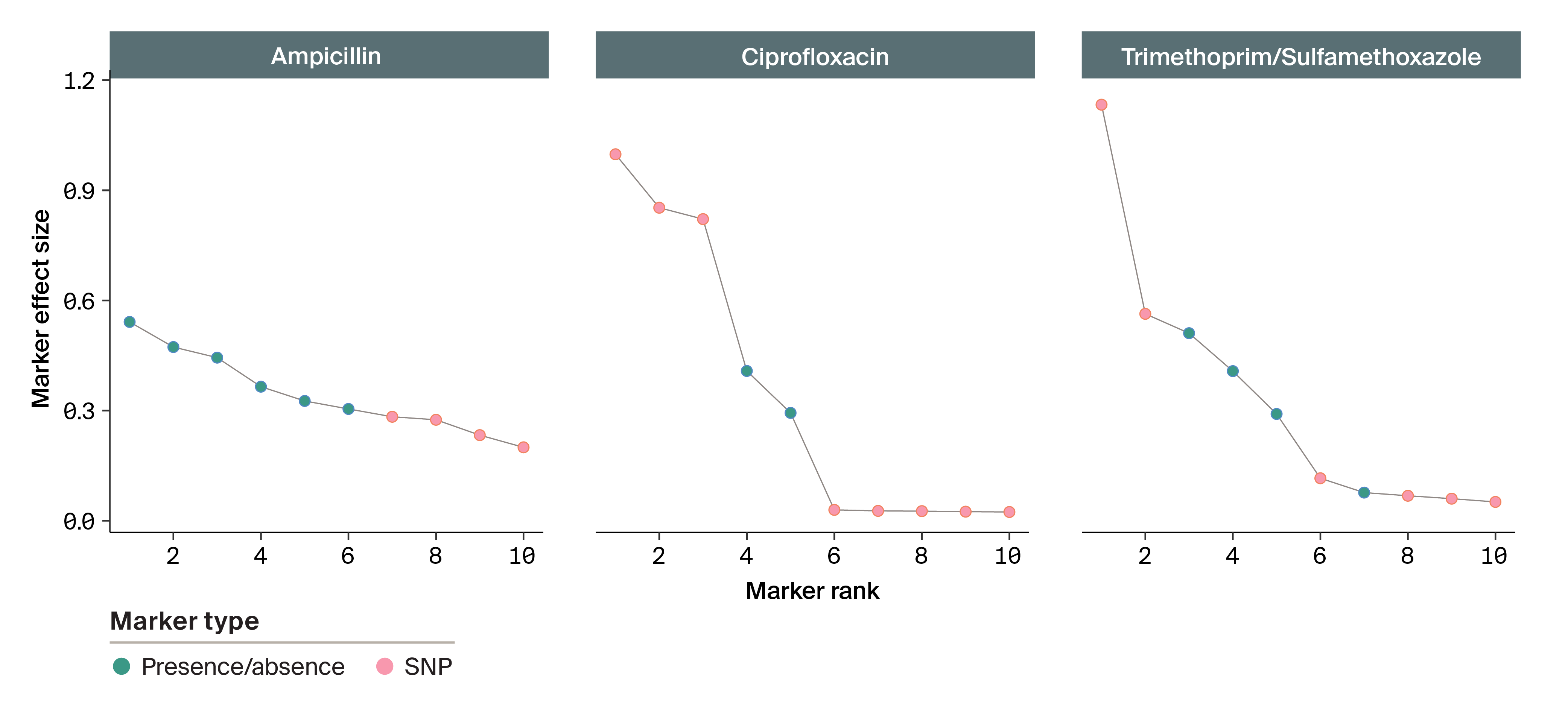 Multi-panel connected scatter plot of the distribution of resistance marker effect sizes for three antimicrobials sorted by effect size where the decay in effect size is gradual for ampicillin but abrupt for ciprofloxacin and trimethoprim/sulfamethoxazole.