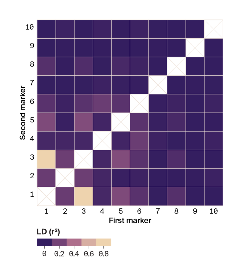 A heatmap of LD values between the top ten largest effect ampicillin resistance markers where the top six markers exhibit elevated LD with each other.