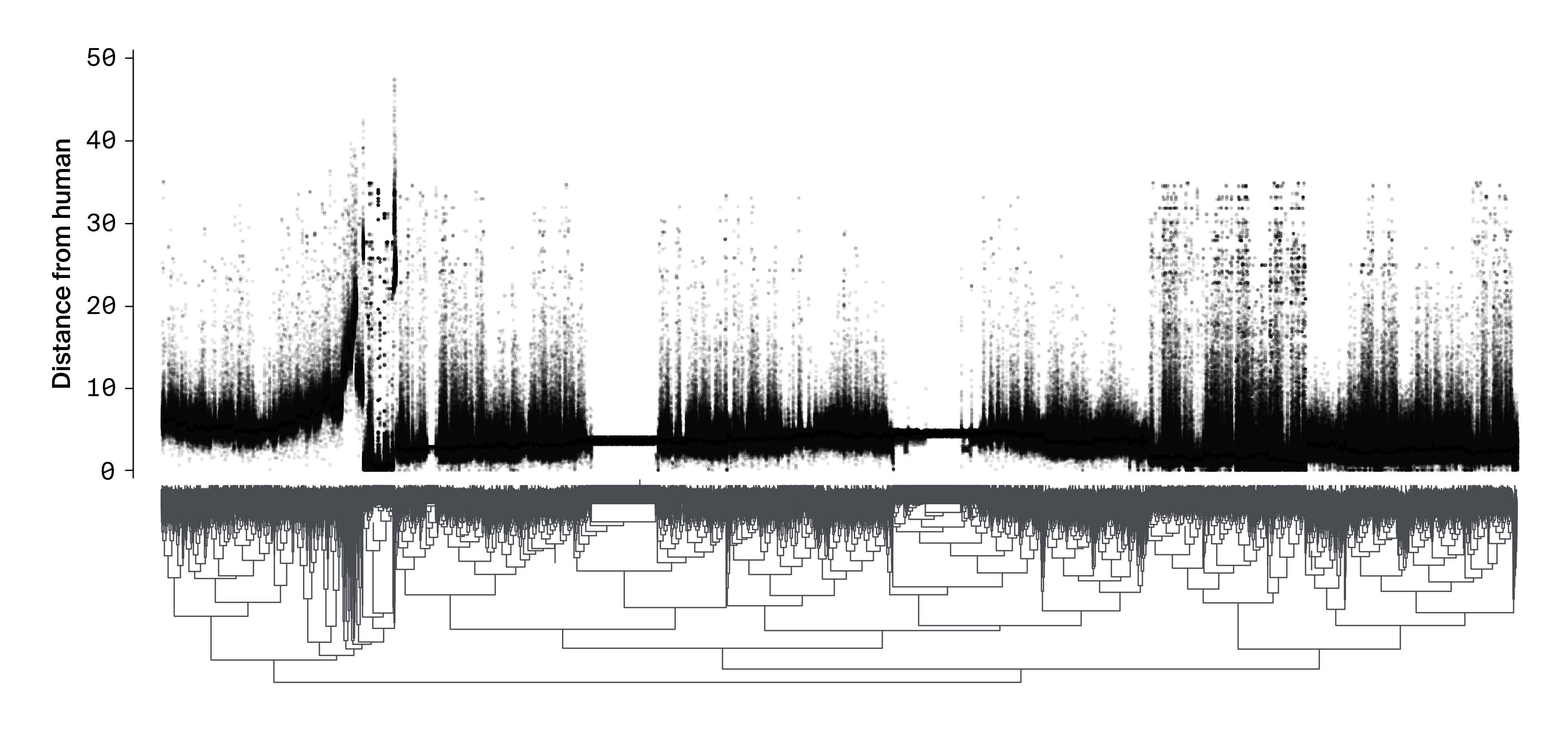 Dendrogram of gene families clustered by molecular conservation relative to humans with scatter plot of protein conservation.