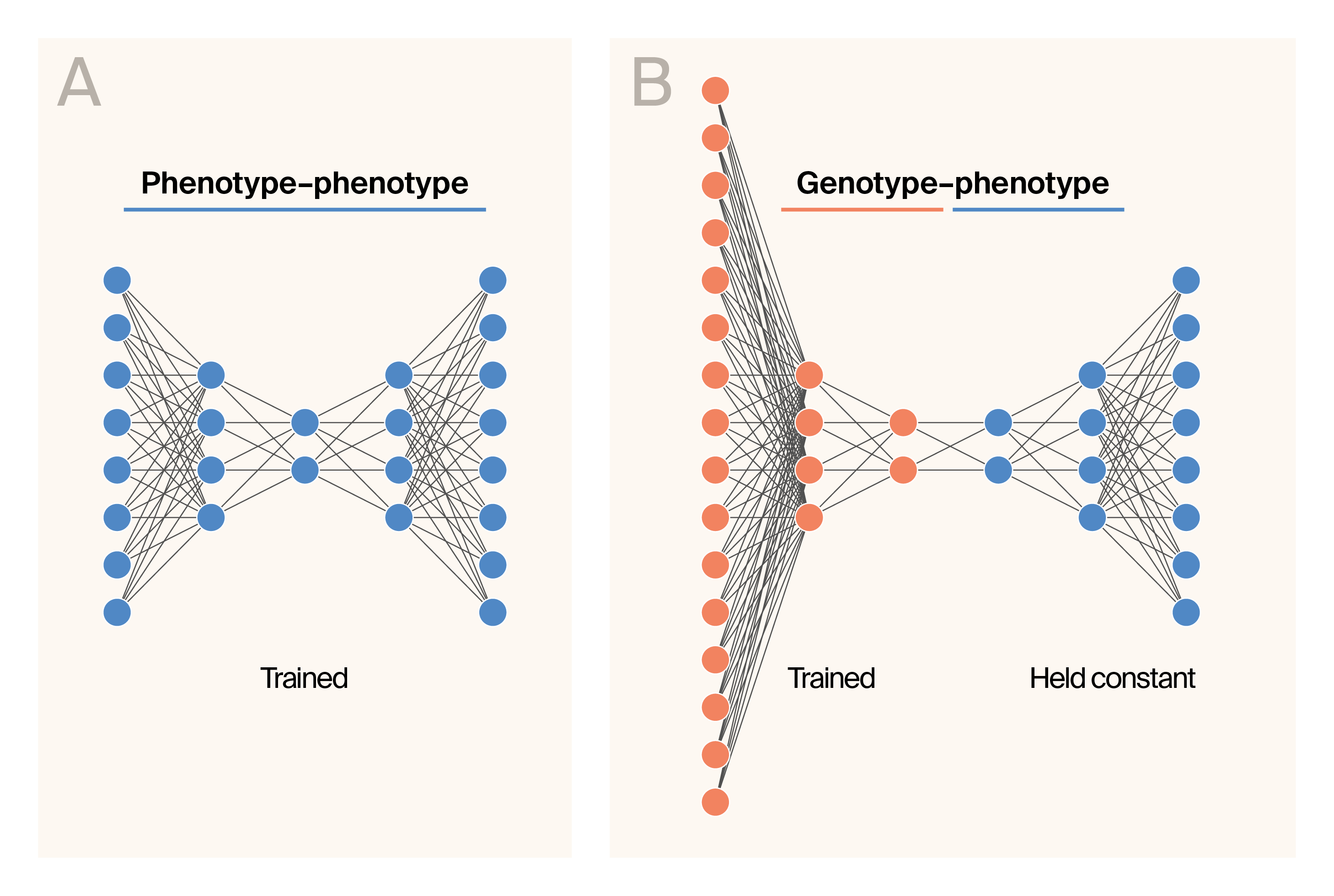Schematic of G–P Atlas architecture where the input, latent compression size and two-stage training process are illustrated.